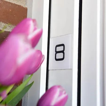 Mare Nostrum 8 * Westerland